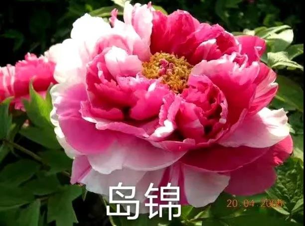 微信图片_20210325113153.jpg